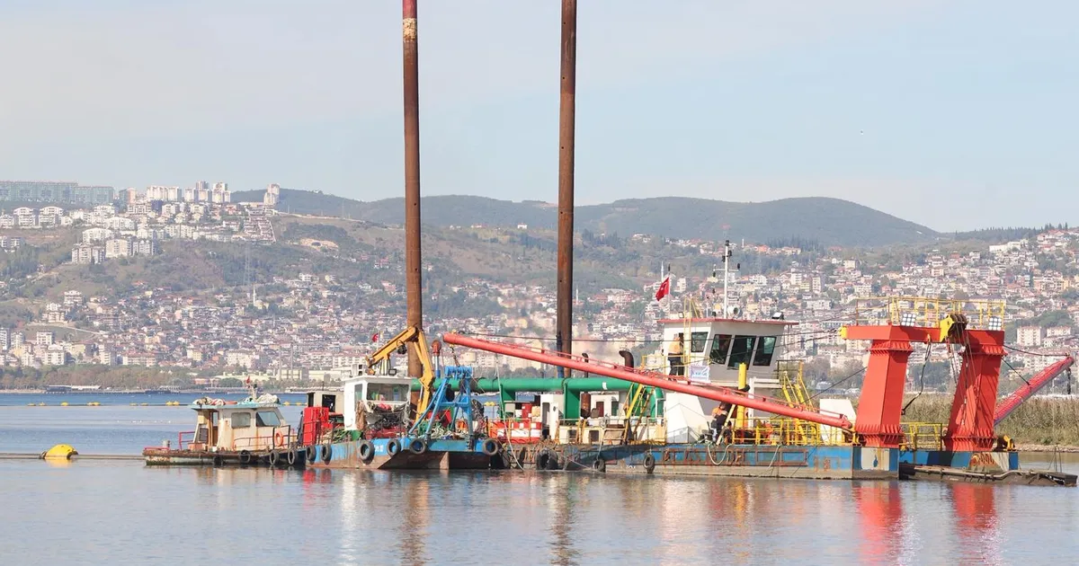 İzmit Körfezi yeniden nefes aldı… Temizlenen körfezde artık yunuslar dans ediyor