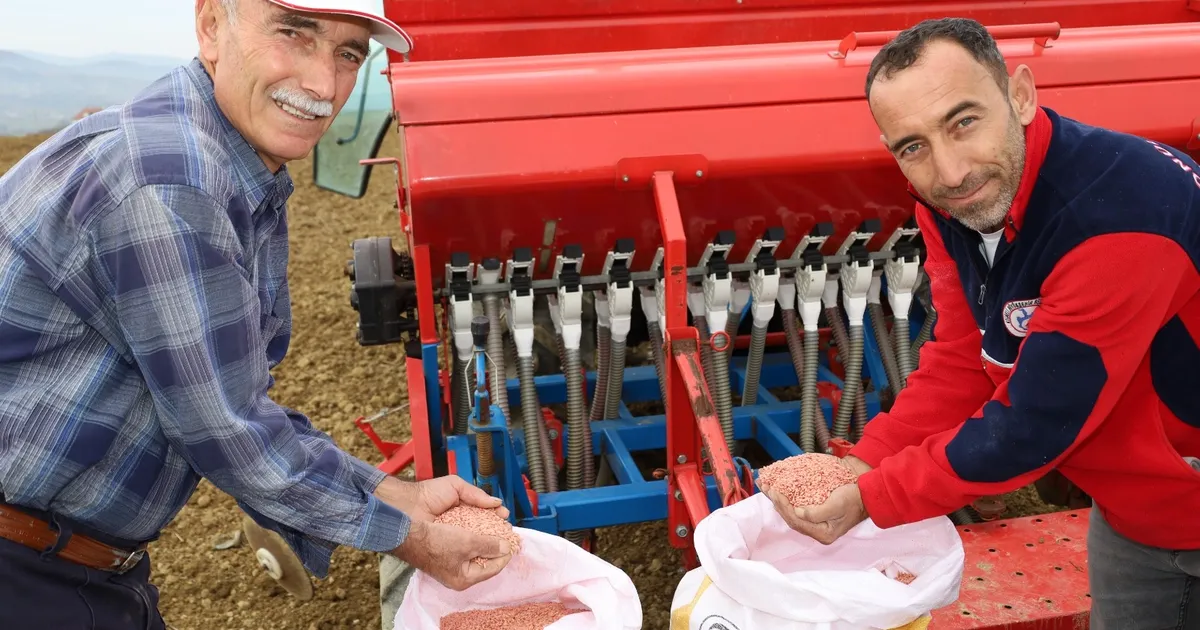 Kocaeli’nin hibeli tohumları toprakla buluştu