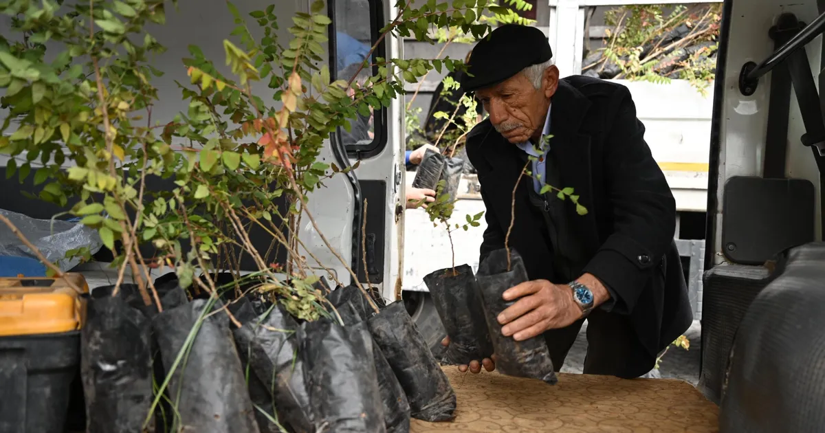 Konya’da 6 bin 370 sumak fidanı çiftçilere ulaştı
