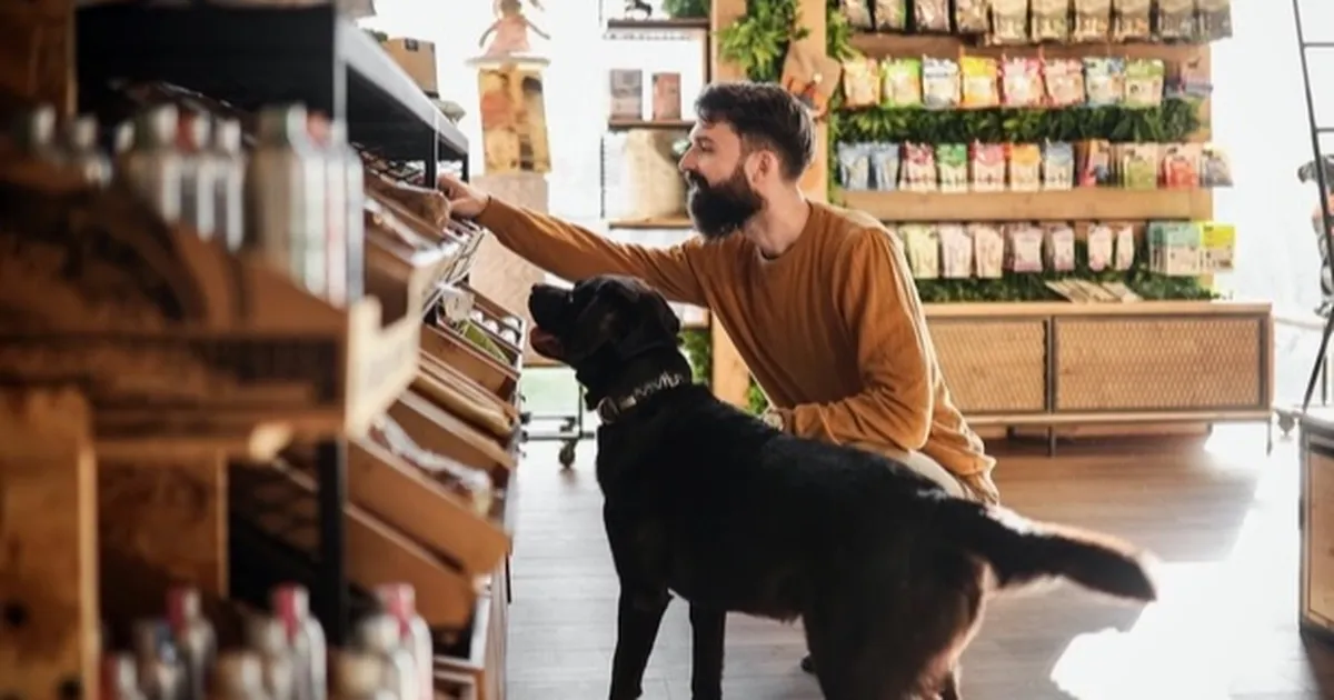Köpek ve kedi sahipleri sürdürülebilir diyetlere daha açık