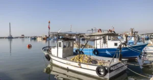 Mersin Büyükşehir Belediyesi Etraf Muhafaza ve Denetim Dairesi Başkanlığı, deniz