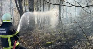 Ordu genelinde hava sıcaklıklarının mevsim normallerinin üzerine çıkmasıyla birlikte tarla,