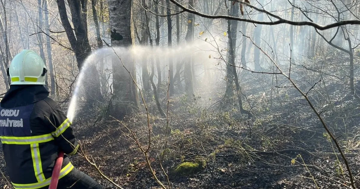 Ordu’da bir haftada 40 yangın alarmı
