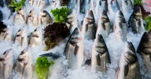 Dünya sofralarının 3 öğün protein muhtaçlığını karşılayan Ege Su Eserleri