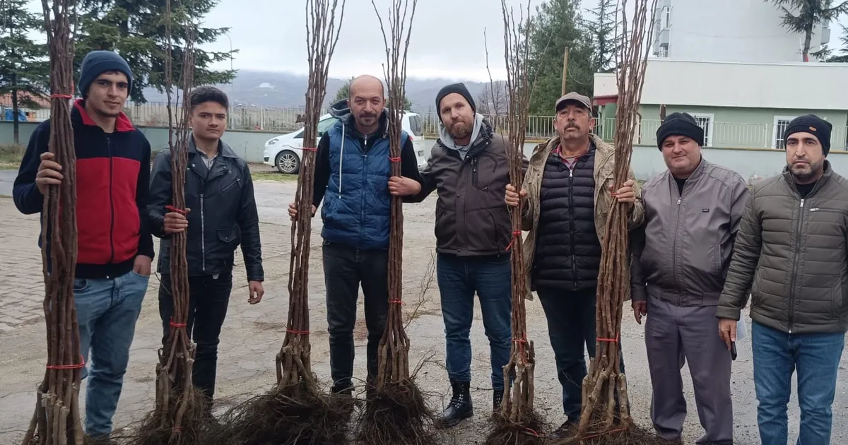 Bilecik Pazaryeri’nde 450 meyve fidanı çiftçilerle buluştu