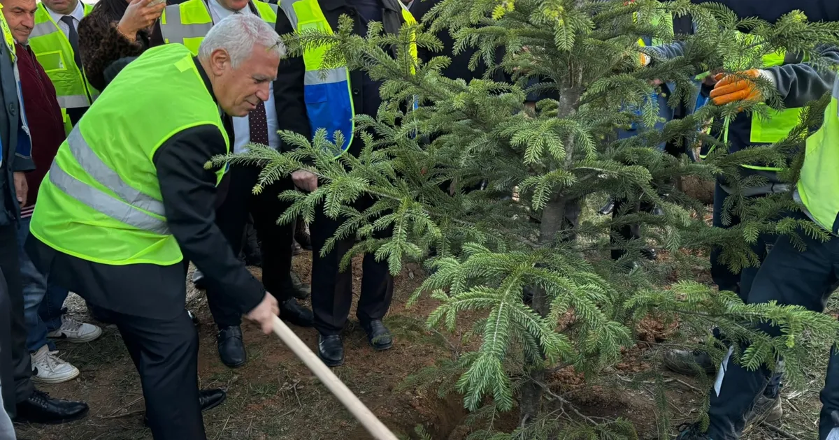 Bursa Büyükşehir’den 15 bin fidanlı ‘Hatıra Ormanı’