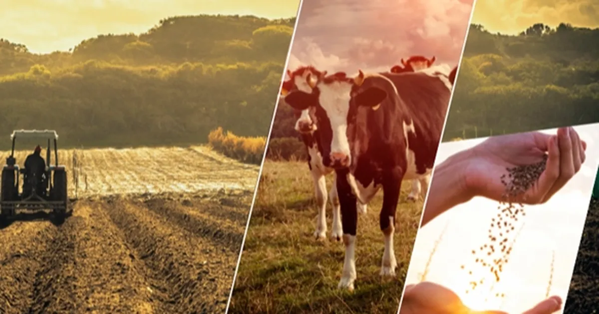 Çiftçiye 1,1 milyar TL’lik destek ödemesi başladı