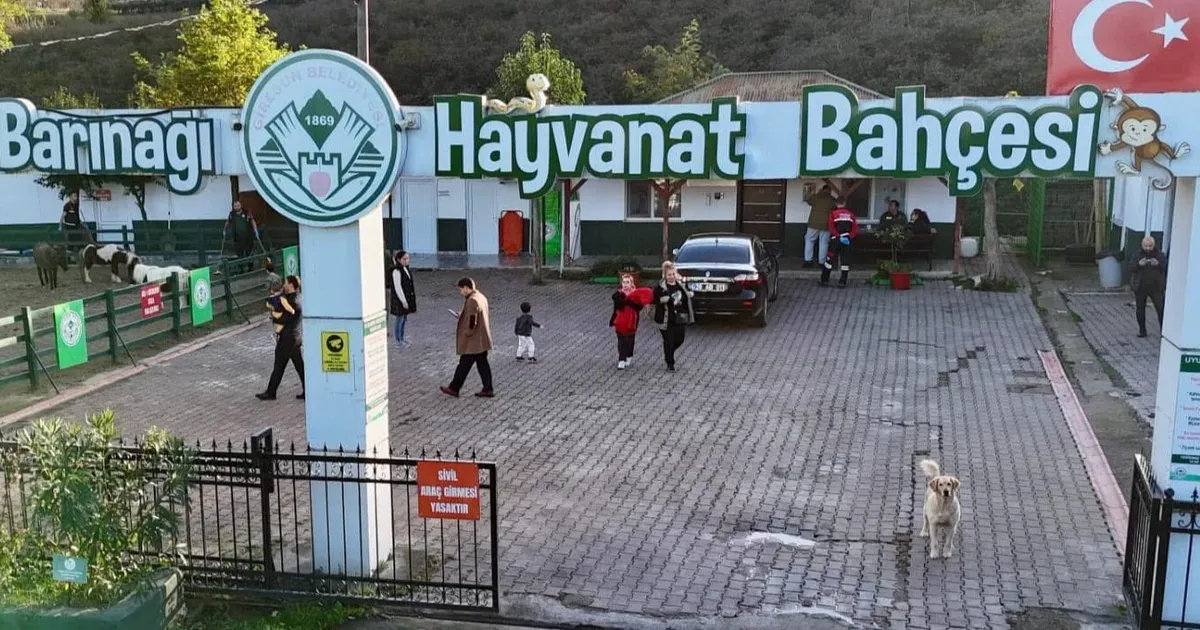 Giresun Hayvan Barınağı 2025’e damga vurdu