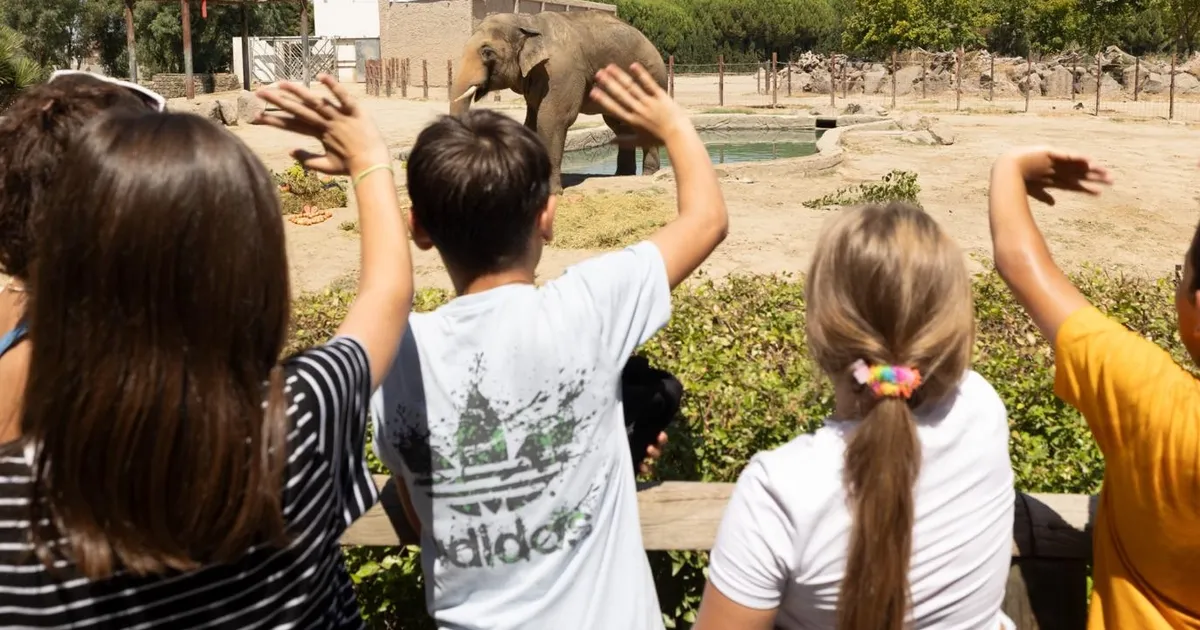 İzmir Doğal Yaşam Parkı’nın fillerine hayat kurtaran ayak bakımı
