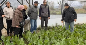 Kocaeli Büyükşehir Belediyesi’nin 65 yaş üstü bireyler için hizmete sunduğu