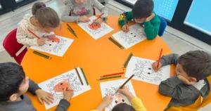 Kocaeli Büyükşehir Belediyesi Meslek ve Sanat Eğitimi Kursları (KO-MEK), yalnızca