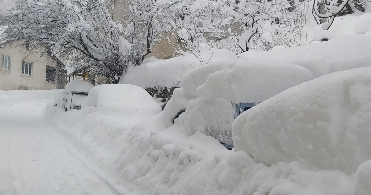 AFAD’dan Doğu ve Batı Karadeniz ile Doğu Anadolu’ya çığ uyarısı!
