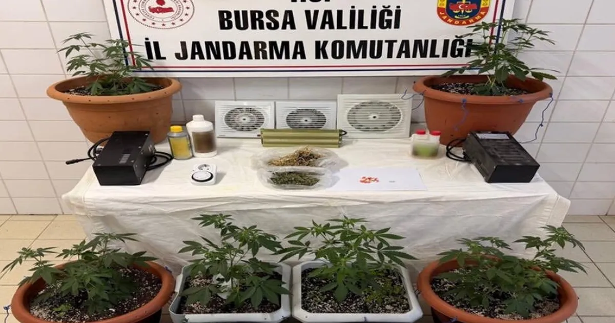 Bursa Nilüfer’de jandarmadan uyuşturucu operasyonu