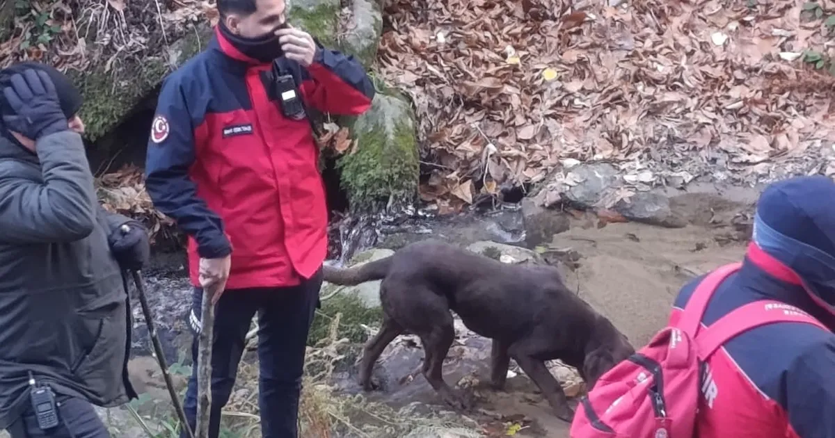 Büyükşehir Belediyesi Elif için seferber oldu