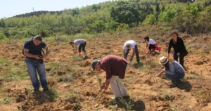 30 yılı aşkın süredir Türkiye’nin dört bir yanında ağaçlandırma çalışmaları