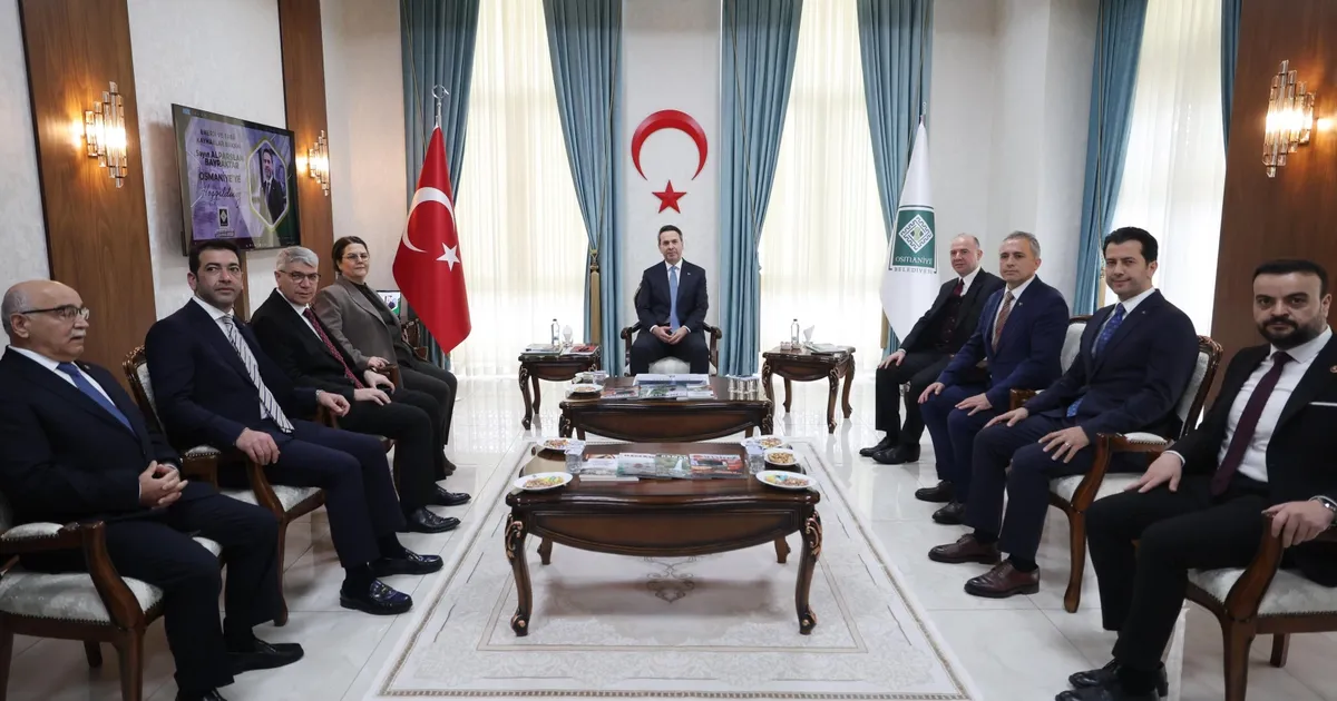 Doğal gaz ve elektrik faturasının yarısı devletten