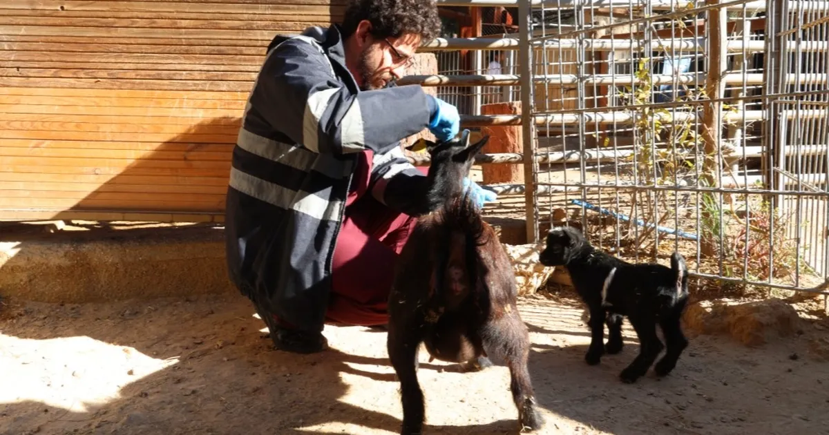 Doğal Yaşam Parkı’nda soğuk alarmı