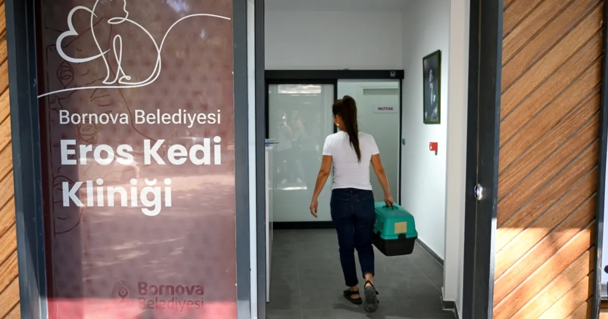 Eros Kedi Kliniği Bornova’da umut oldu