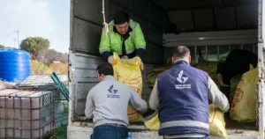 İzmir'de Güzelbahçe Belediyesi, Payamlı, Küçükkaya ve Çamlı köylerinde üretim yapan