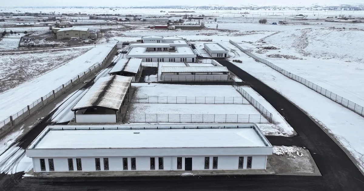 Kayseri Kocasinan’dan sokak hayvanları için sıcak yuva