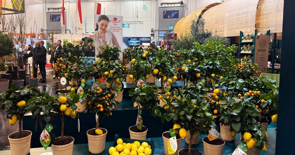 Kestel’in yeşil gücü Almanya’da görücüye çıktı