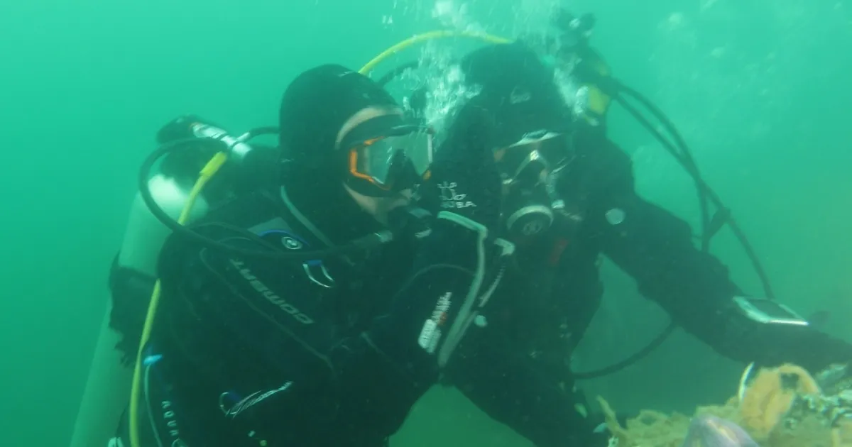 Kocaeli’de İzmit Körfezi artık nefes alıyor