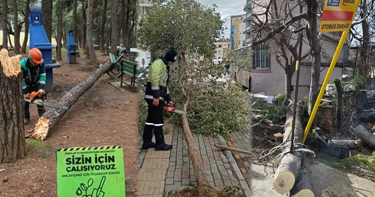 Lodos Bursa’yı vurdu! Büyükşehir sahada