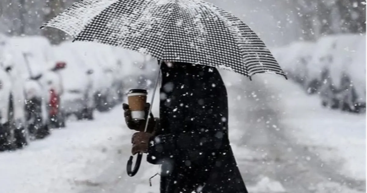 Meteoroloji alarm verdi! Yağış, rüzgar, don ve çığ geliyor