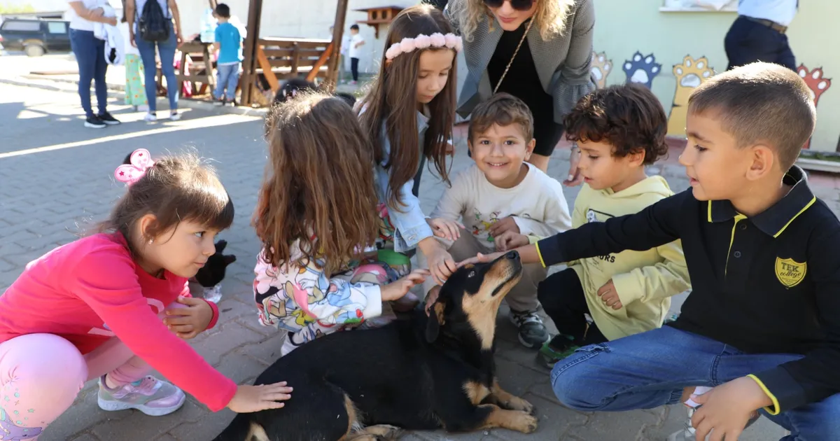 Muğla Büyükşehir 4 bin 34 cana yuva oldu