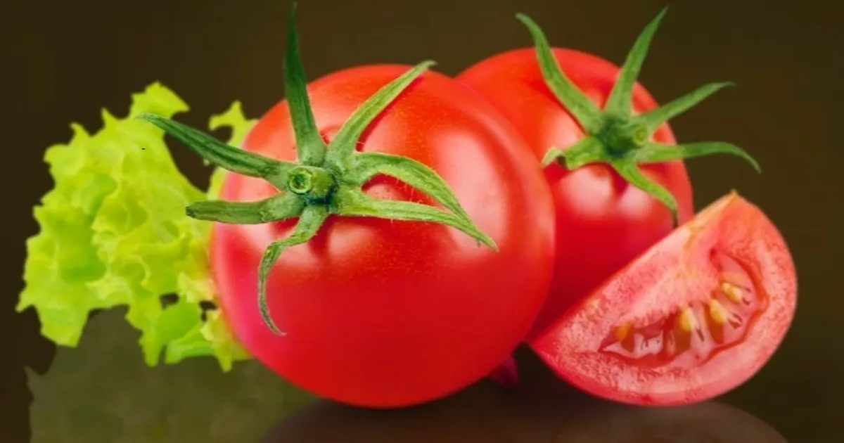 Muğla Milas’ta talep edene ücretsiz yerel tohum