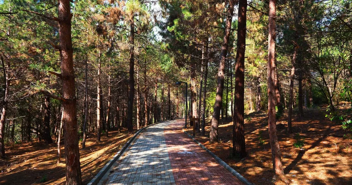 Sakarya’da Sapanca Gölü’nde huzur dolu yaşam alanı açıldı