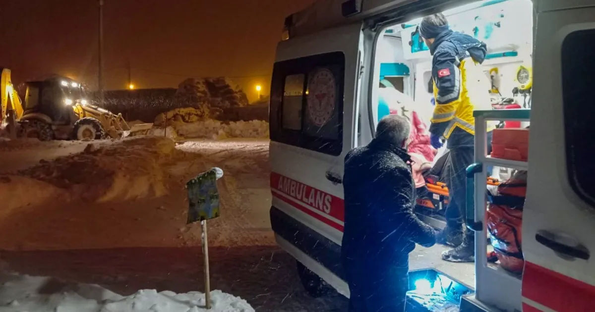 Van’da yaşamı durduran kar afeti