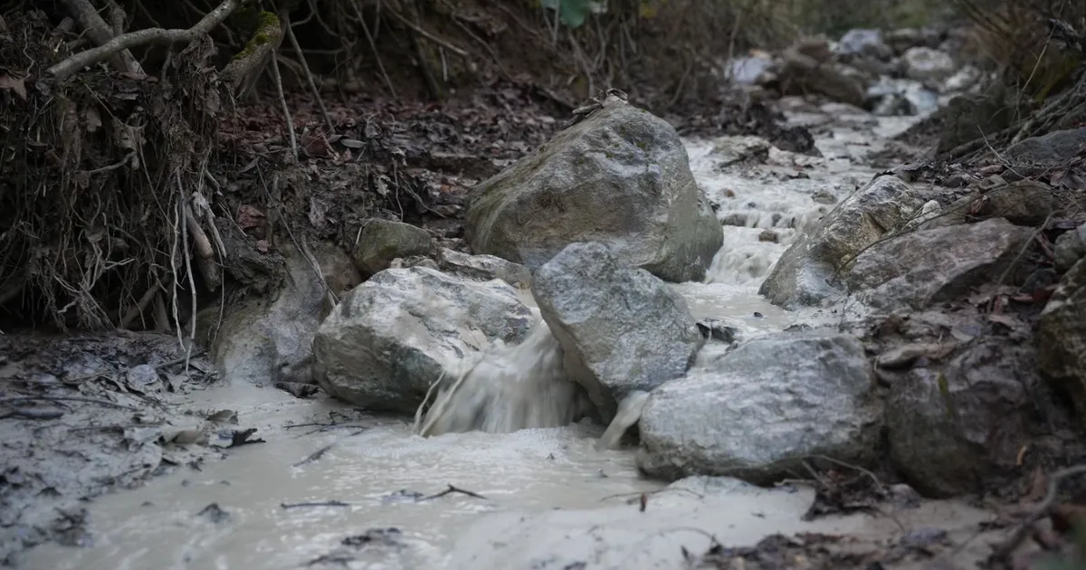 Yenişehir Kirazlıyayla’da binlerce ton kimyasal doğaya karıştı!