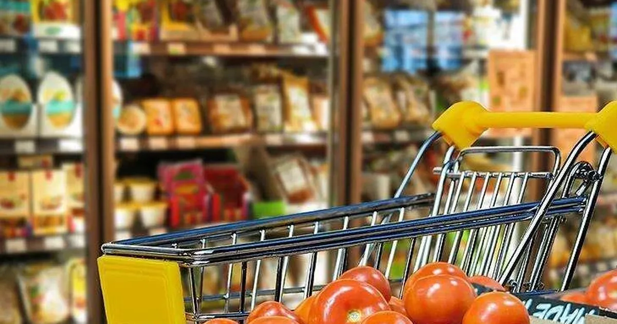 Ekonomik güven endeksi 100,7 oldu