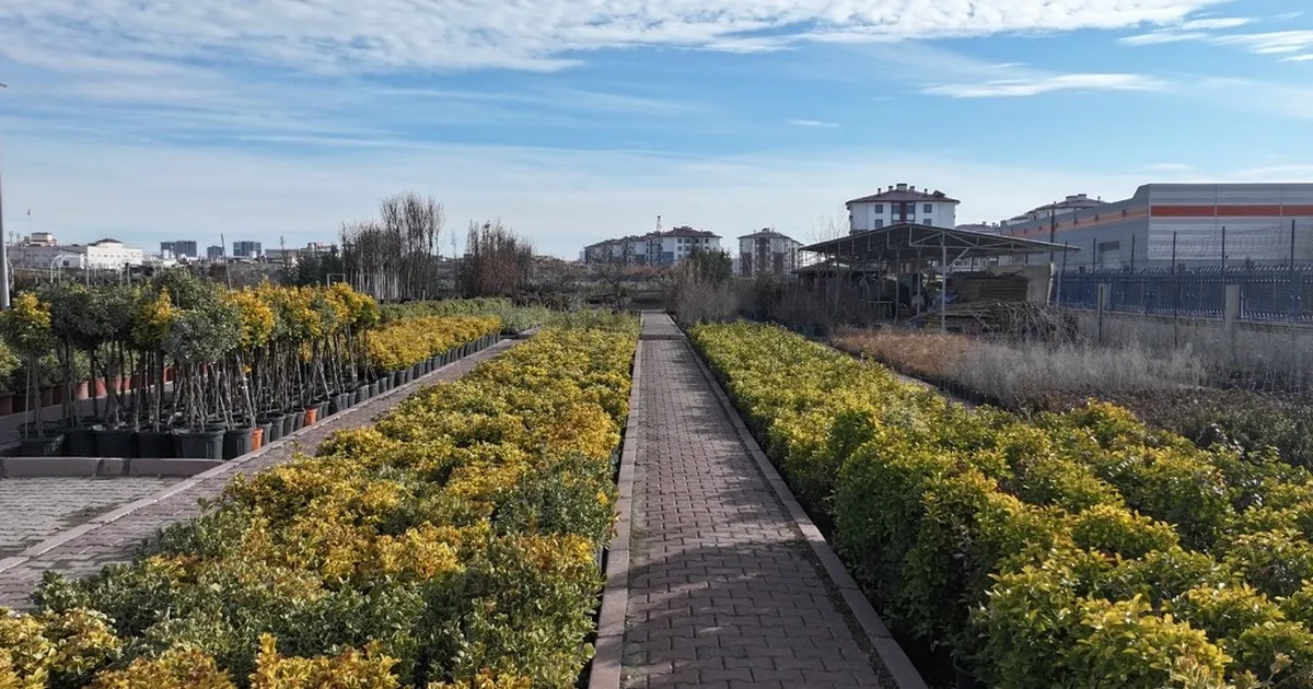 En büyük lojistik üssü fidanlığı Kayseri Kocasinan’da
