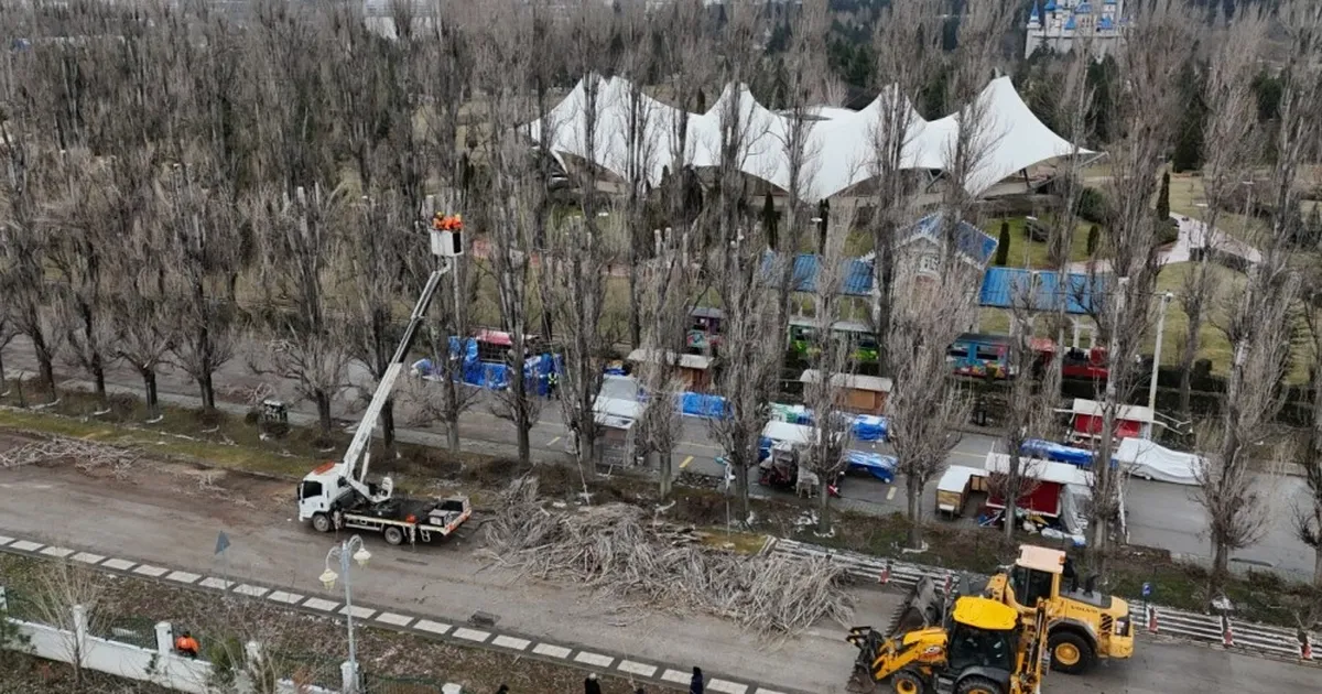Eskişehir Büyükşehir’den ağaçlara gençleştirme çalışması