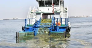 Gediz Nehri’nden gelen sanayi kaynaklı kirlilik, İzmir körfezini kirletmeye devam