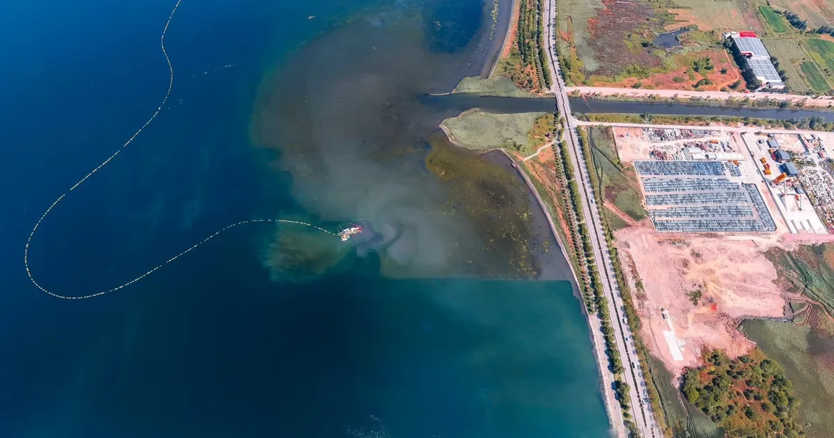 İzmit Körfezi’nde deniz temizleniyor, ekosistem güçleniyor