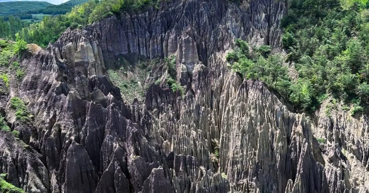 Korunan alan sayısı 692’ye yükseldi
