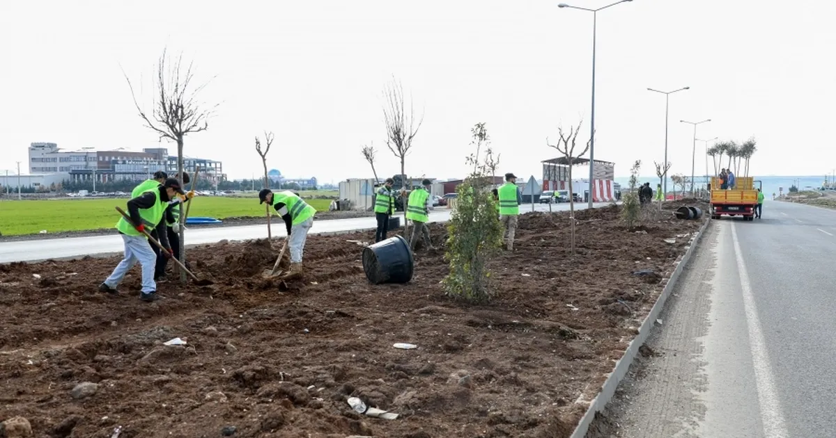 Mardin yoluna yeşil dokunuş