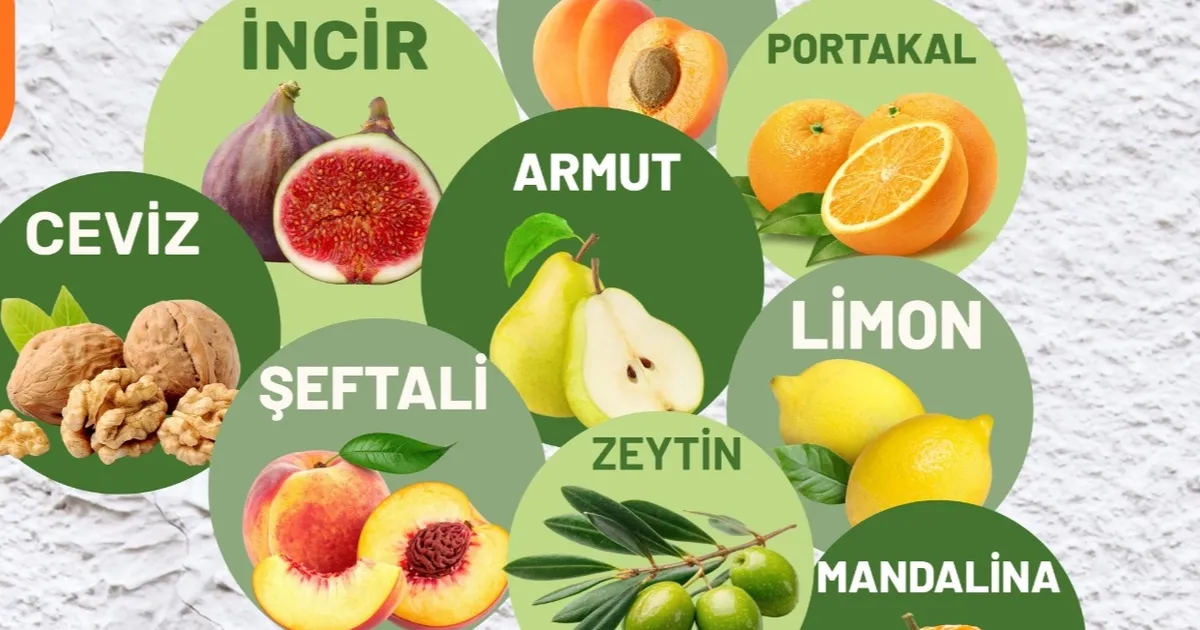 Muğla Milas’ta üreticilere fidan desteği sağlanacak