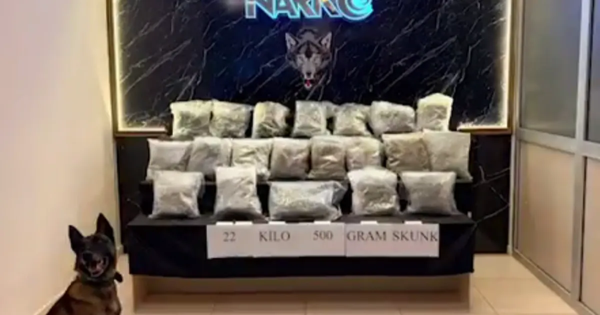 Narko Edirne, Hamzabeyli’de 22,5 kilo skunk ele geçirdi
