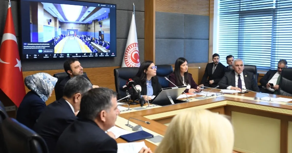 TBMM komisyonunda ‘Suça Sürüklenen Çocuklar’ gündemi