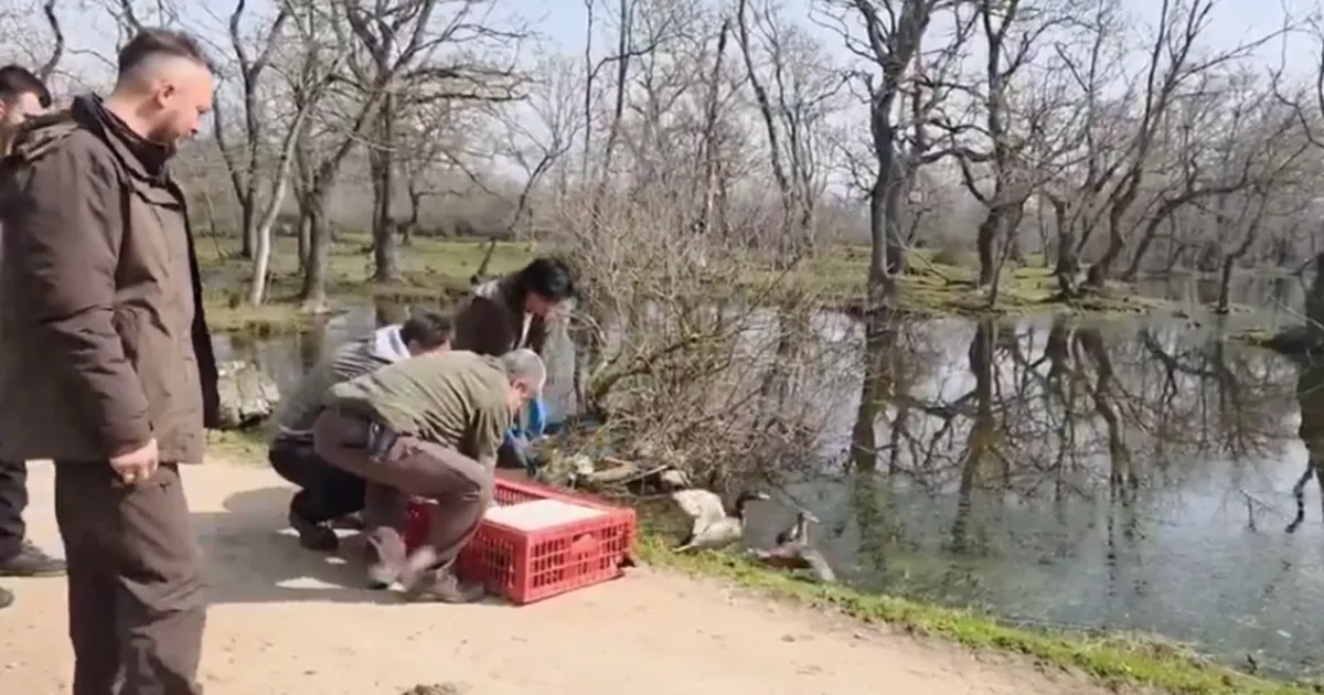 Doğa Koruma ve Milli Parklar 2. Bölge Müdürlüğü, 3 Mart