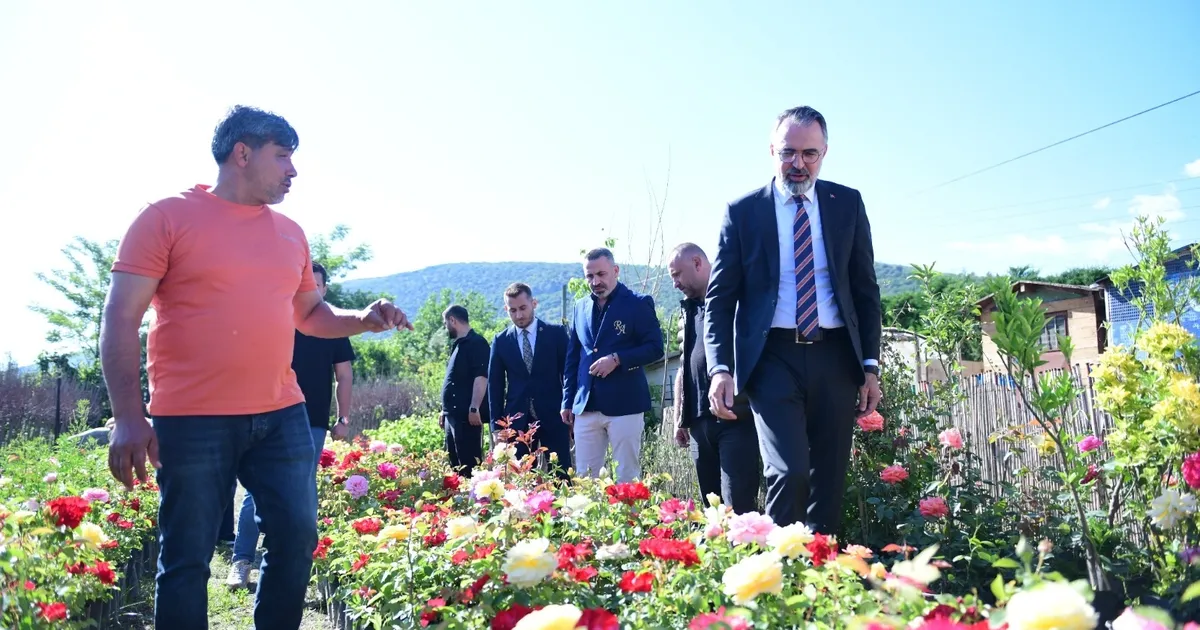Bursa Kestel’de süs bitkileri üreticilerine destek