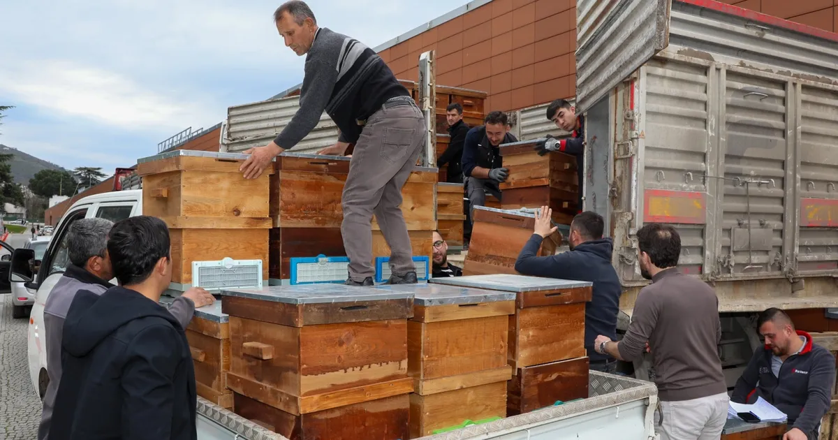 Bursa’da arıcılık Büyükşehir’le canlandı