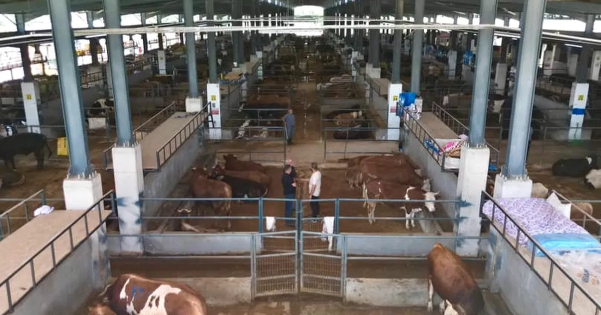 İnegöl Belediyesi hayvan pazarının kotra ihale tarihi belli oldu