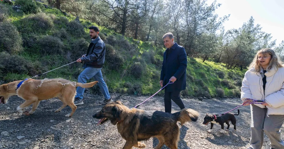 İzmir Büyükşehir’den sahipsiz hayvanlar için çağrı