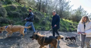 İzmir Büyükşehir Belediyesi, sahipsiz hayvanlardan yaban hayatına kadar geniş bir