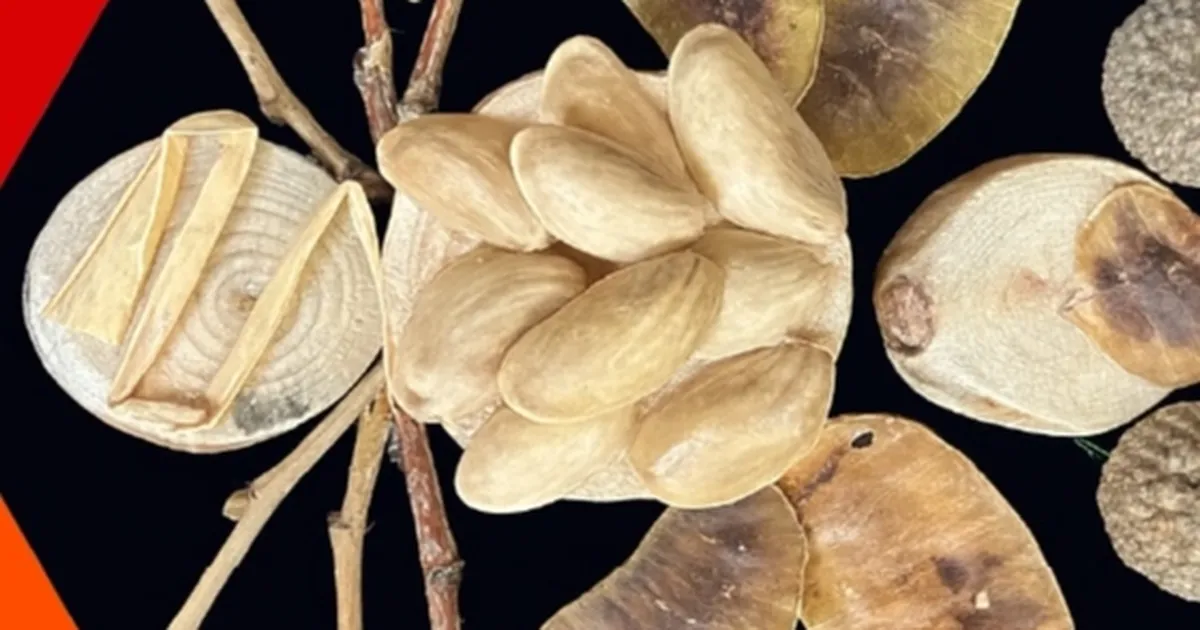 İzmit Oyuncak Müzesi’nde yaratıcı atölyeler sürüyor